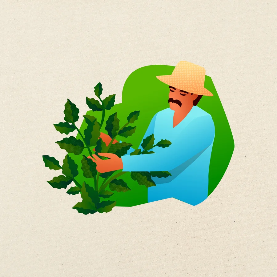 Illustration eines Mannes mit Schnurrbart und Strohhut, der in einem blauen Hemd eine grüne Blattpflanze mit den Händen pflegt.