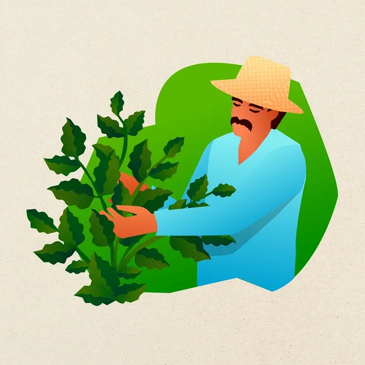 Illustration eines Mannes mit Schnurrbart und Strohhut, der in einem blauen Hemd eine grüne Blattpflanze mit den Händen pflegt.
