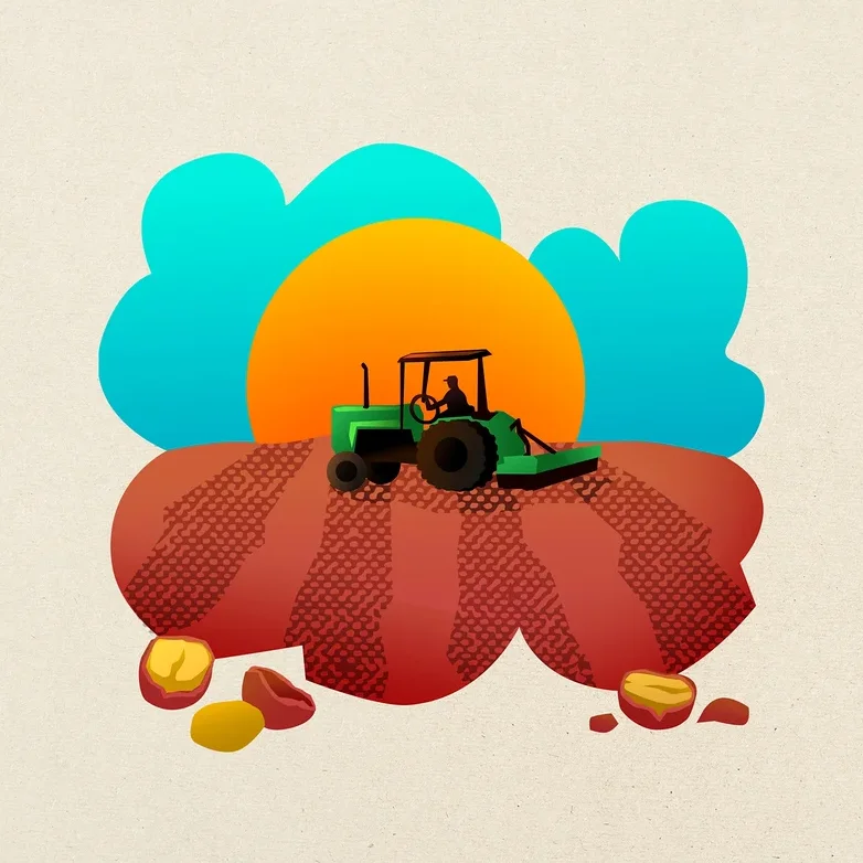 Ein grüner Traktor mit Fahrer pflügt ein rotbraunes Feld unter einer orangen Sonne und blauen Wolken. Im Vordergrund liegen mehrere Wurzelgemüse auf dem Boden.