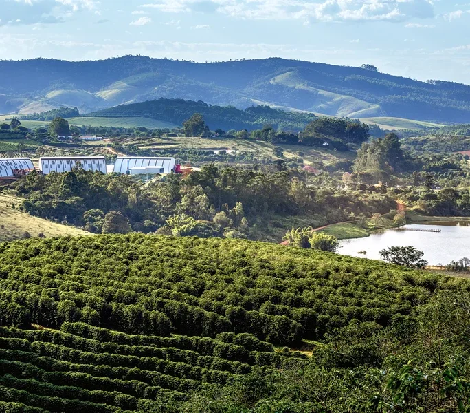 Hügelige Landschaft mit grünen Kaffeeplantagen, weißen Farmgebäuden und einem See im Mittelgrund, sowie Bergen unter blauem Himmel.