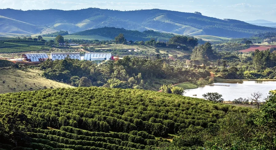 Hügelige Landschaft mit grünen Kaffeeplantagen, weißen Farmgebäuden und einem See im Mittelgrund, sowie Bergen unter blauem Himmel.