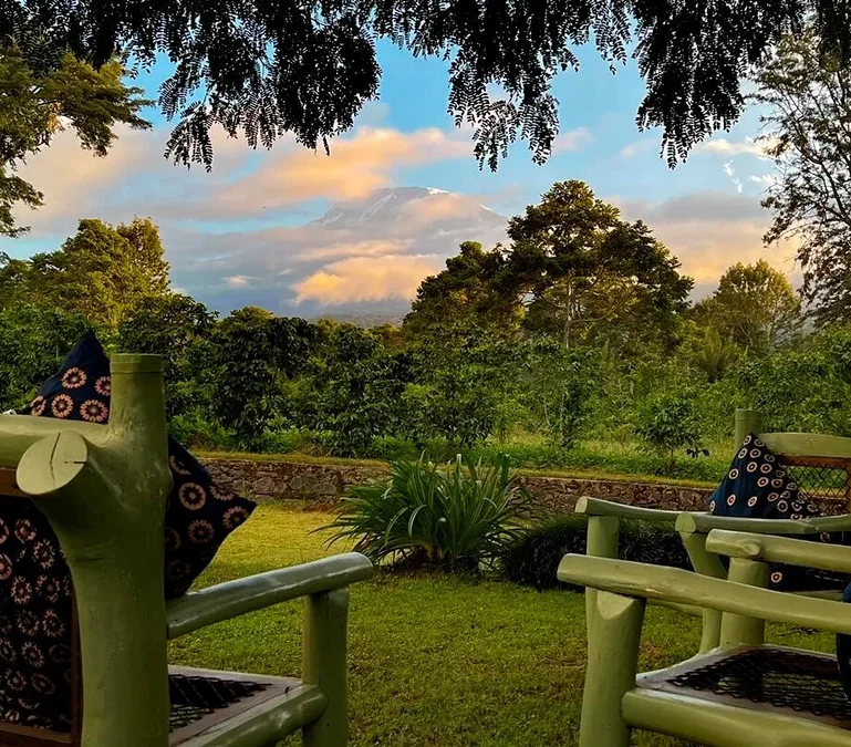Zwei grüne Holzstühle mit gemusterten Kissen blicken auf einen üppigen Garten und eine Kaffeeplantage, im Hintergrund ein schneebedeckter Berg unter farbigem Himmel.