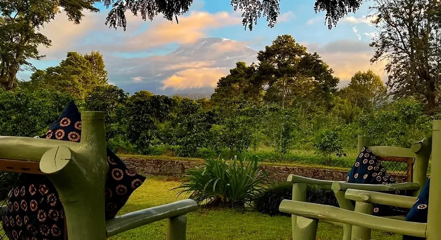 Zwei grüne Holzstühle mit gemusterten Kissen blicken auf einen üppigen Garten und eine Kaffeeplantage, im Hintergrund ein schneebedeckter Berg unter farbigem Himmel.
