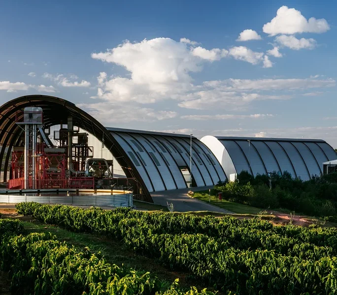 Reihen grüner Kaffeepflanzen im Vordergrund führen zu einer modernen Industrieanlage mit gewölbten, hangarähnlichen Gebäuden im Hintergrund. Rote Verarbeitungsmaschinen sind im linken Gebäude unter blauem Himmel mit weißen Wolken sichtbar.