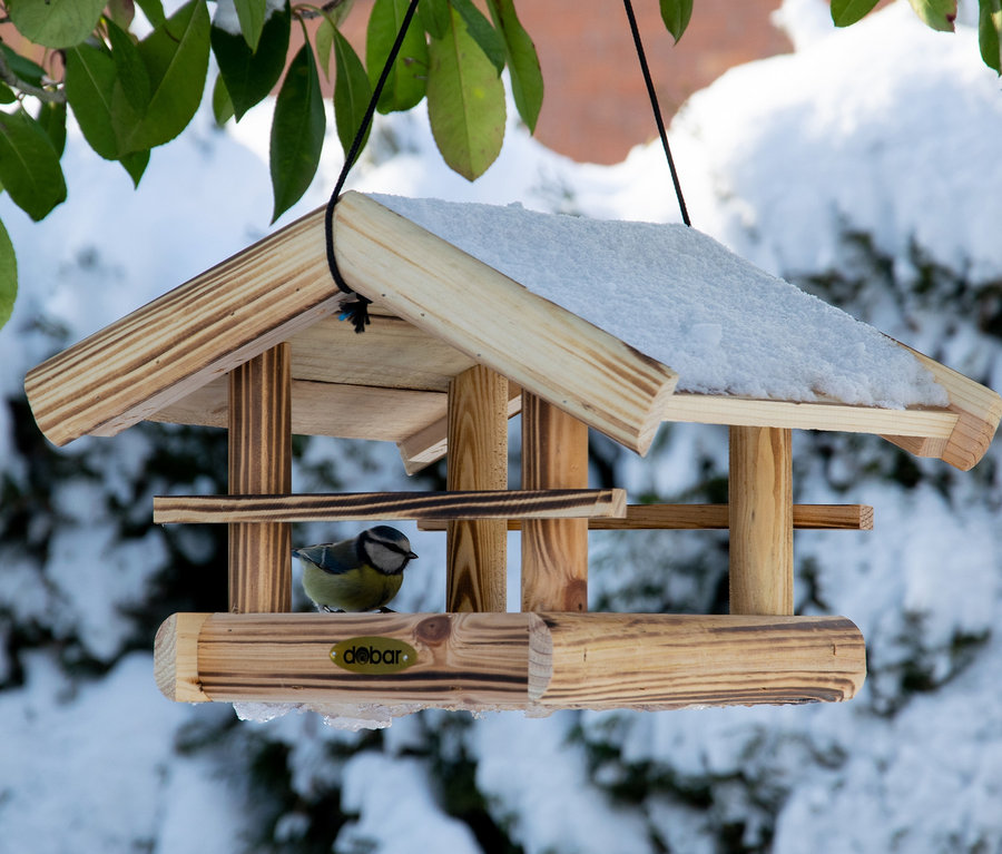 Blaumeise sitzt in einem hölzernen Vogelfutterhaus »Quemado«, das mit Schnee bedeckt ist.