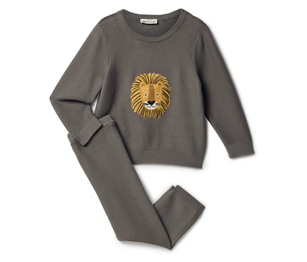 Grauer Pullover und Hose mit Löwenmotiv.