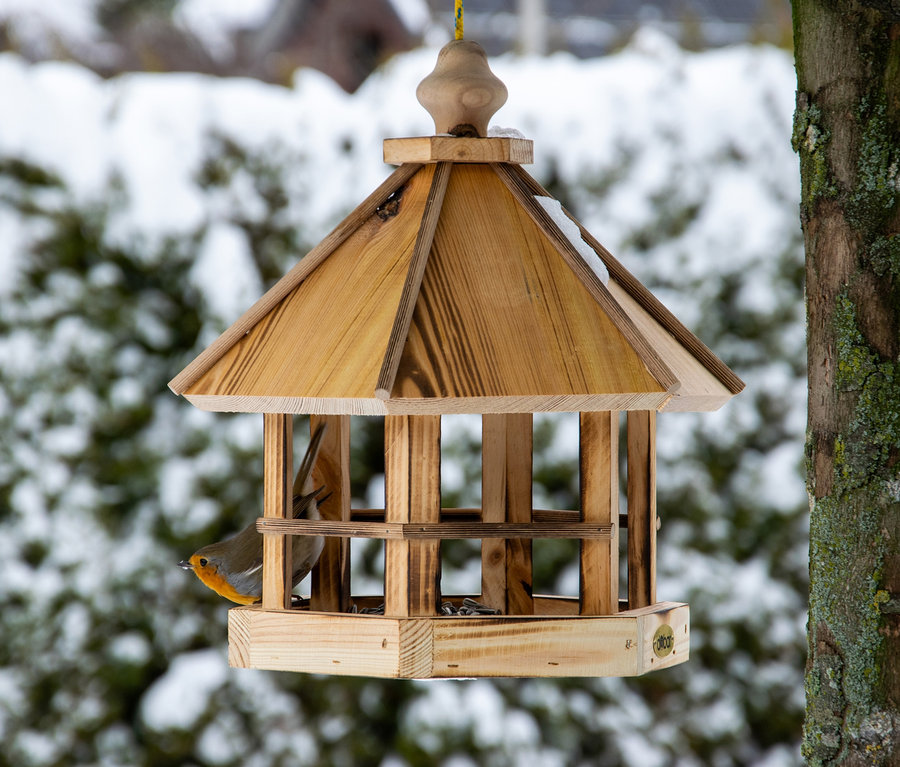 Ein Rotkehlchen sitzt in einem Vogelfutterhaus namens »Caliente«.