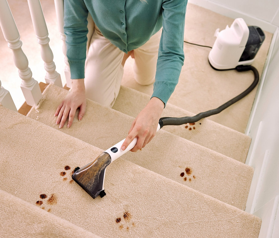 Eine Frau reinigt Flecken auf einem beige Teppich auf einer Treppe mit einem Tineco i Carpet Spot.