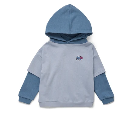 Hellblauer Kapuzenpullover mit kleinem Lastwagen-Aufnäher.