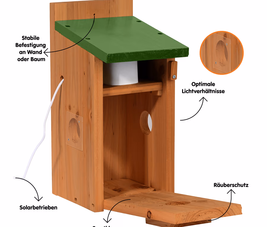 Hölzernes Vogelhaus mit grünem Dach, offener Frontklappe, solarbetriebenem Licht, optimalen Lichtverhältnissen, Räuberschutz und Wand-/Baumbefestigung.