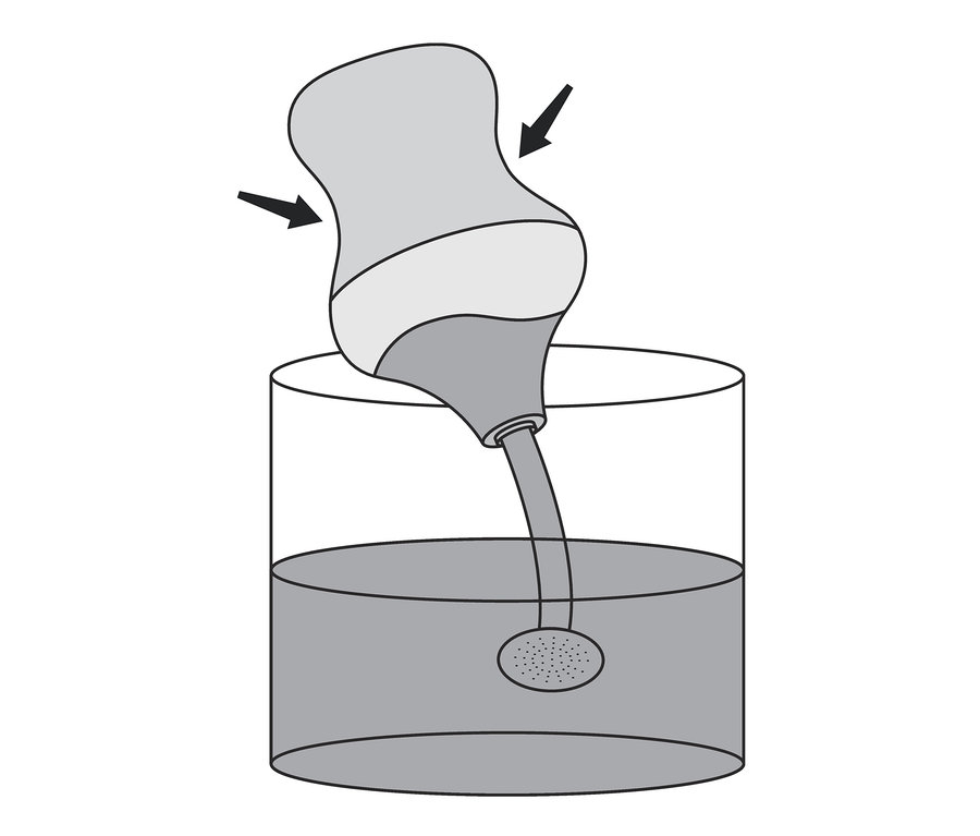Eine Illustration einer Gartenbrause, die in ein mit Wasser gefülltes Glas getaucht wird.