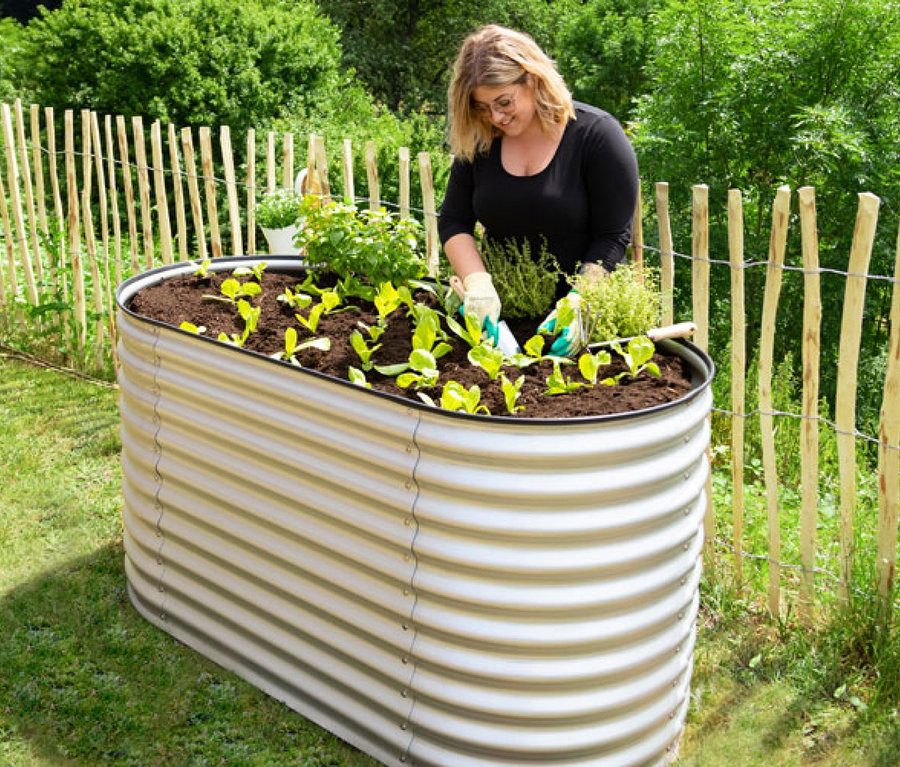 Frau setzt Pflanzen in ein ovales Hochbeet (Breite ca. 160 cm) im Garten.