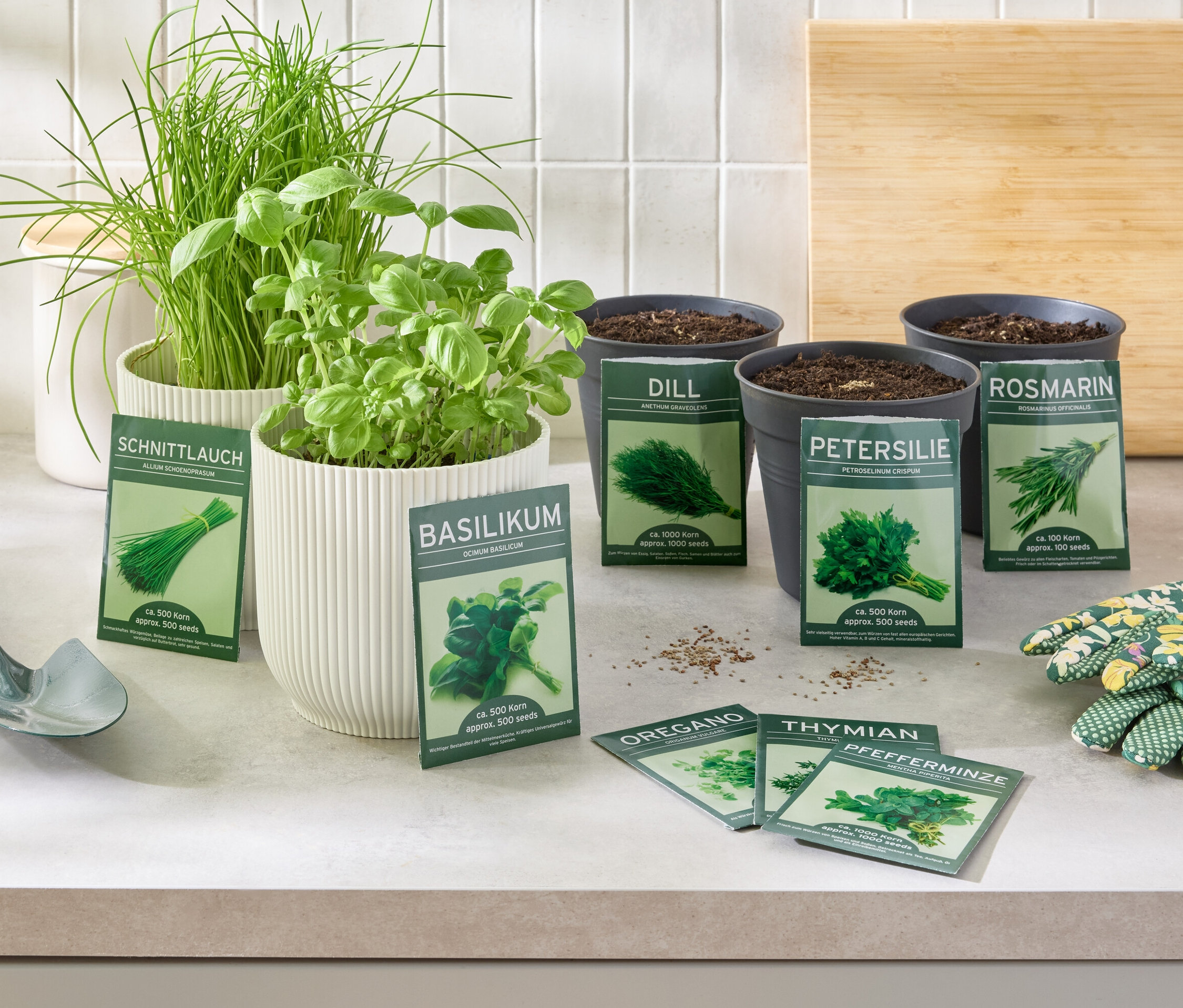 8 Kräuterklassiker Kräuter in Töpfen und Samen auf einem Tisch mit Handschuhen und einer Schaufel.