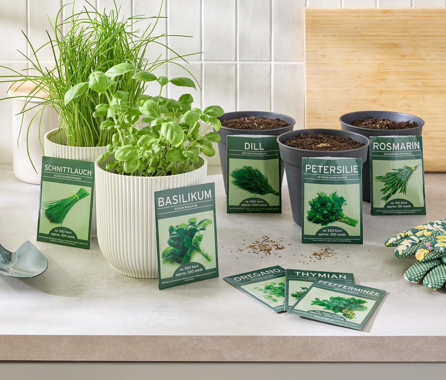 8 Kräuterklassiker Kräuter in Töpfen und Samen auf einem Tisch mit Handschuhen und einer Schaufel.