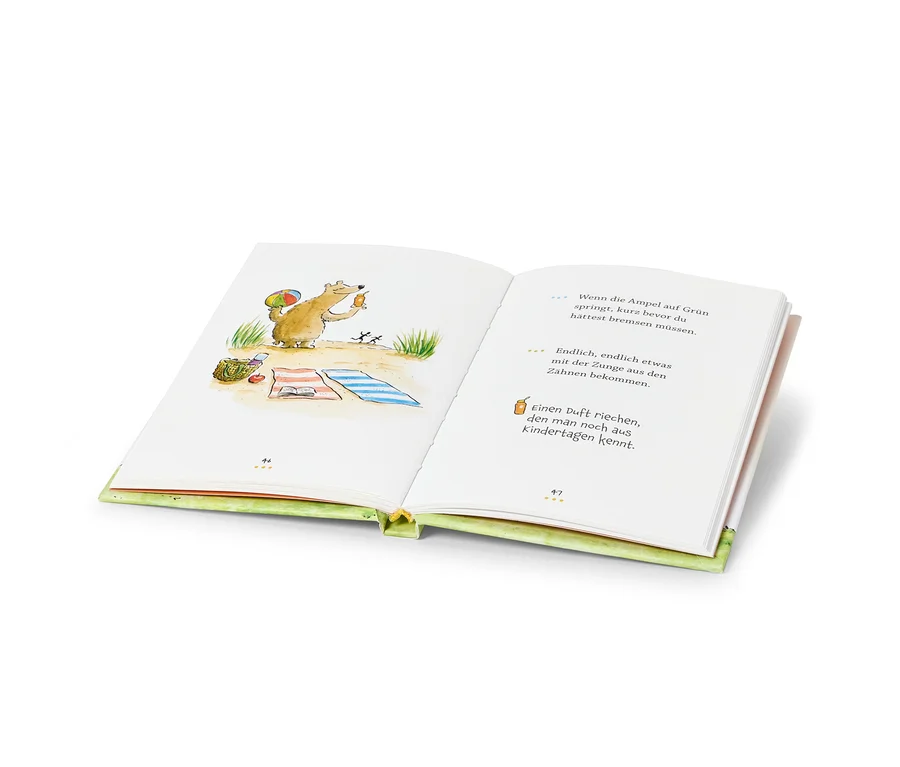 Illustration eines Bären, der ein Eis am Stiel am Strand neben einer Picknickdecke und einem Korb hält.