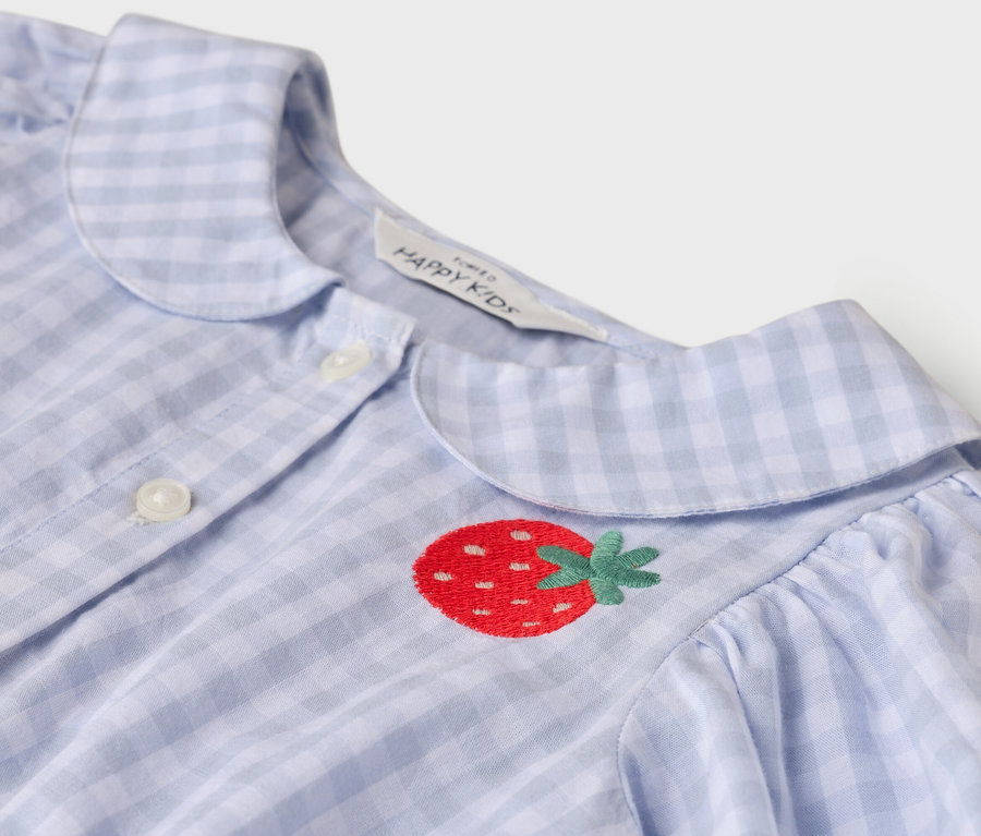 Nahaufnahme eines hellblau-weiß karierten Hemdes mit Erdbeerstickerei.