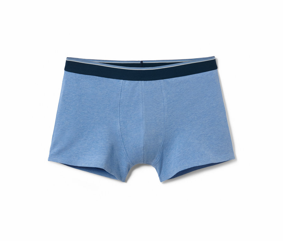 Blaue Slipboxer.