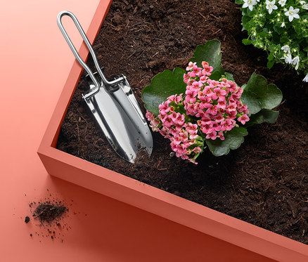 Eine Mini-Gartenschaufel, faltbar, liegt in einem Blumentopf mit Erde und Blumen.