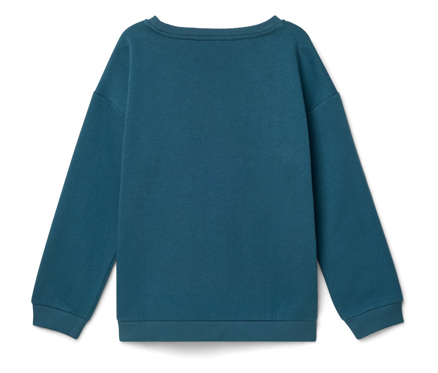 Blauer Pullover, Rückansicht.