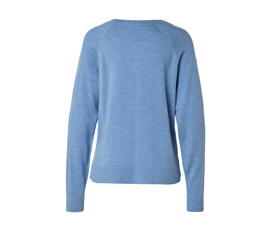 Hellblauer Pullover, von hinten gesehen, mit langen Raglanärmeln, Rundhalsausschnitt und gerippten Bündchen und Saum.