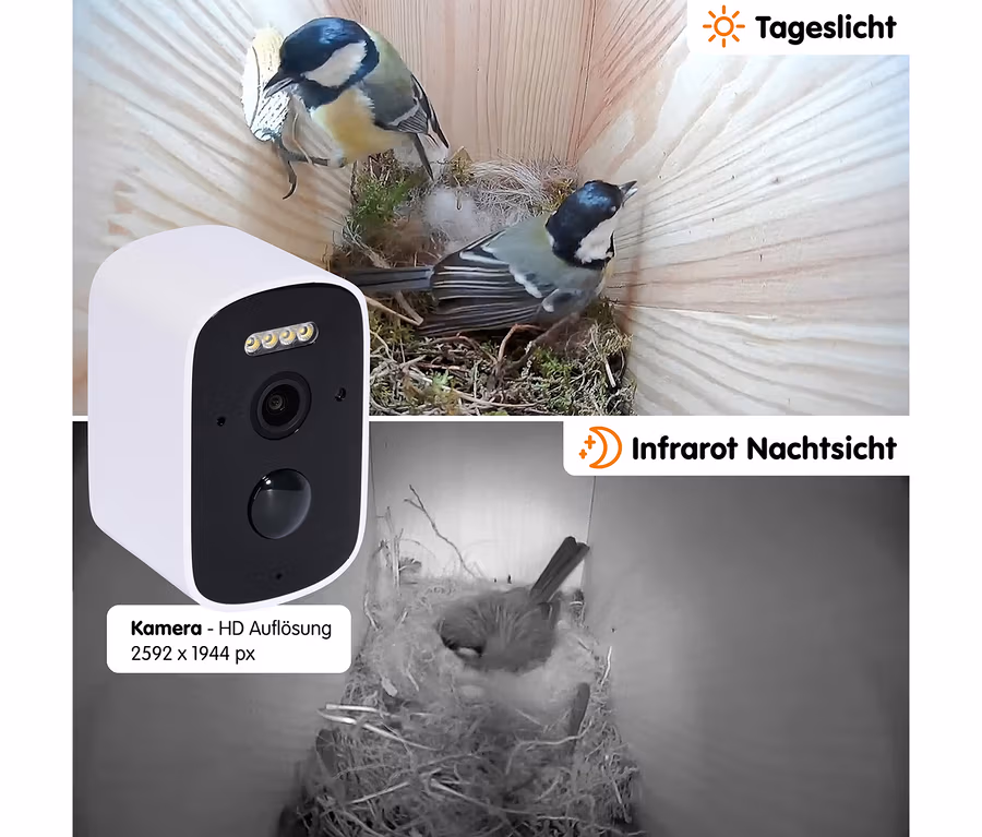 Zwei Kohlmeisen in einem Dobar Solar-Nistkasten mit Kamera, oben bei Tageslicht, unten eine Meise in Infrarot-Nachtsicht. Eine weiße HD-Kamera ist links abgebildet.