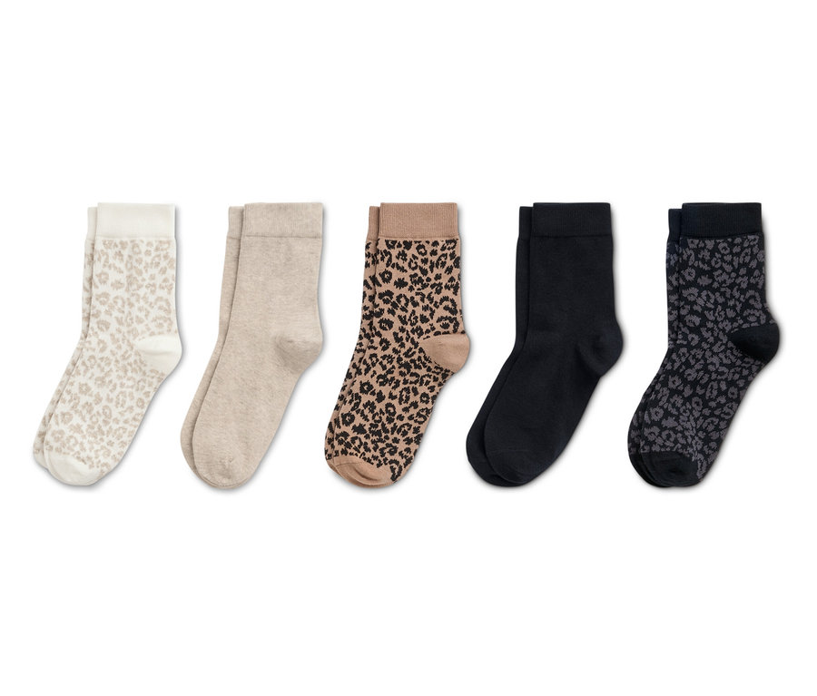 Fünf Paar Socken in verschiedenen Farben und Mustern liegen nebeneinander.