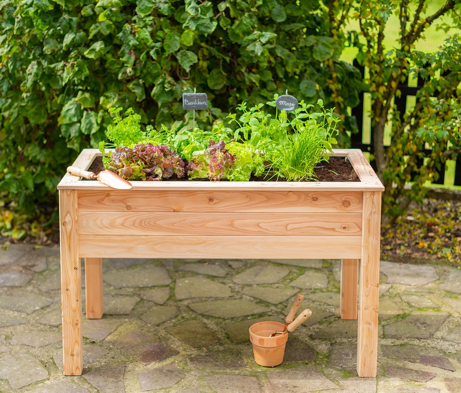 Gemüse wächst in einem Stelzenhochbeet mit einem Blumentopf und Gartengeräten darunter.