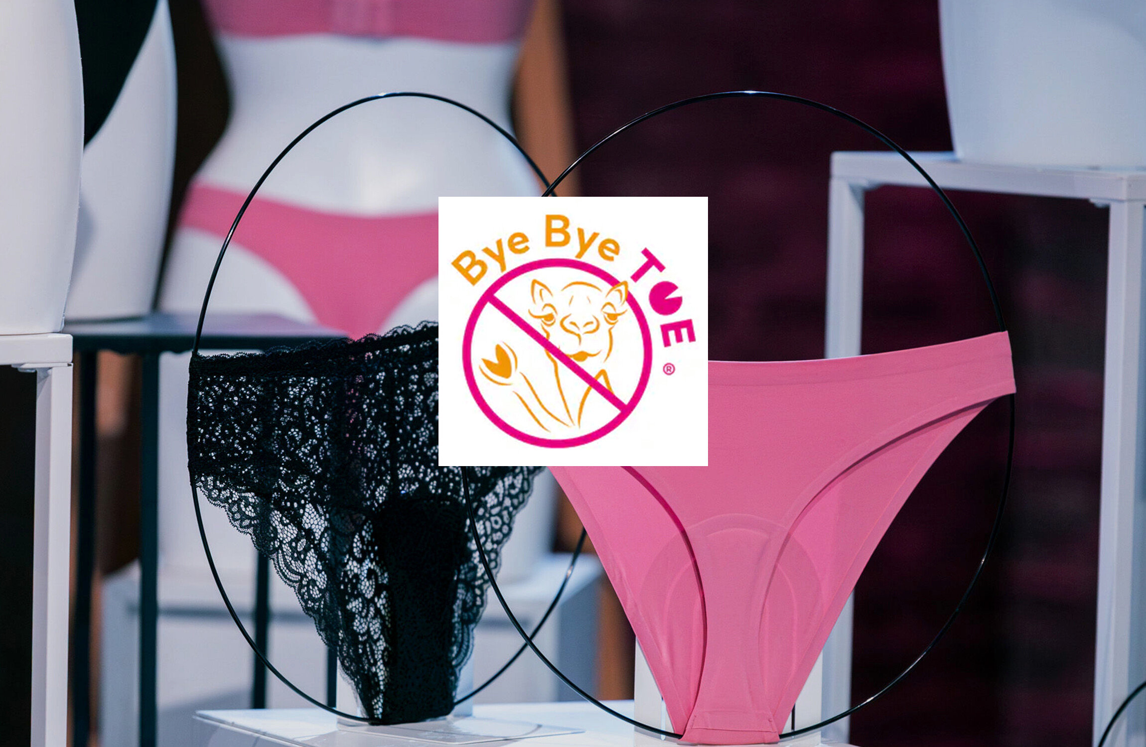 Vor einem Logo sind eine schwarze Spitzenunterhose und eine pinke Unterhose auf einem Ständer zu sehen, im Hintergrund eine Schaufensterpuppe.