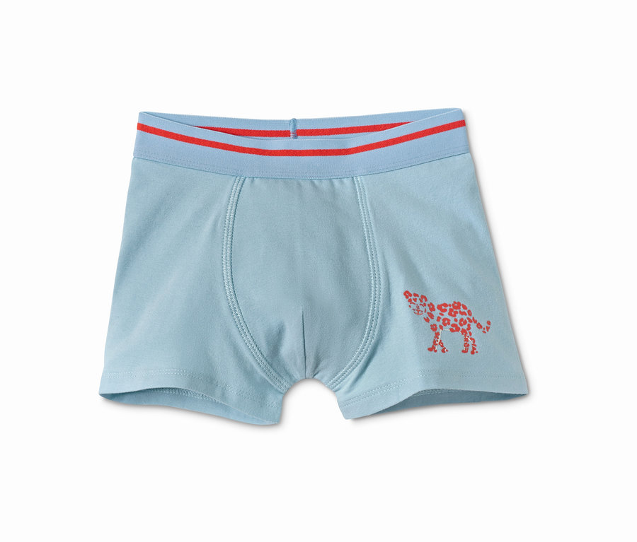 Eine hellblaue Boxershorts mit rotem Bund und rotem Gepardenmuster.