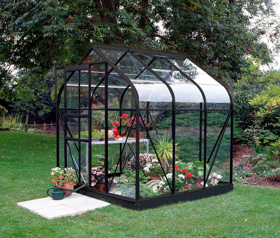 Vitavia Gewächshaus Orion ESG 3,8 m² inkl. Rahmenfundament mit Pflanzen auf einer Wiese.