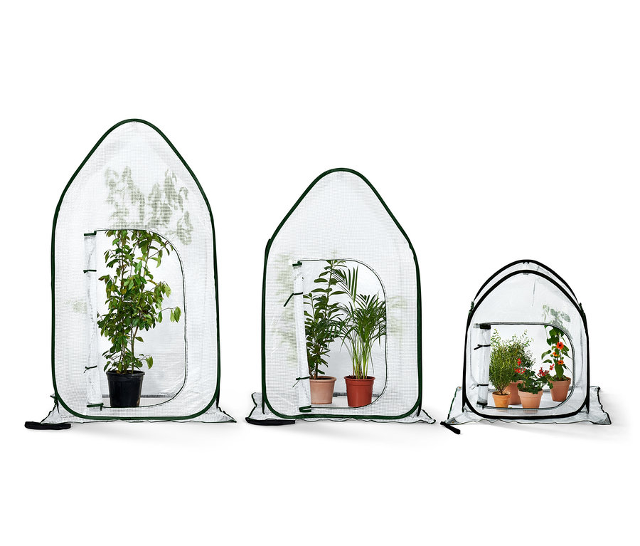 Drei kleine Gewächshäuser unterschiedlicher Größe mit Pflanzen darin.