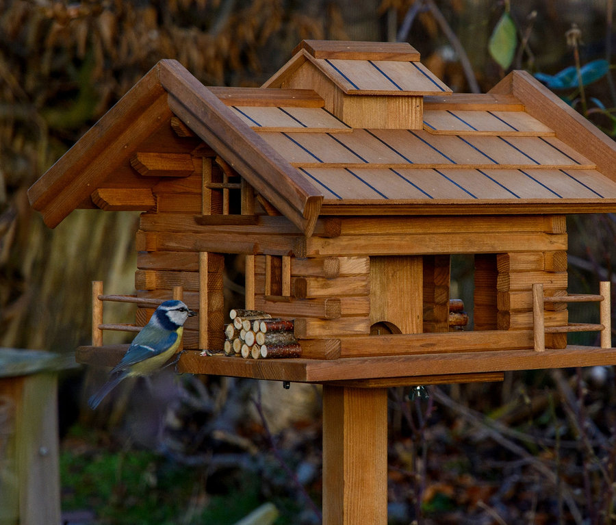 Eine Blaumeise sitzt auf dem Vogelfutterhaus "Tirol".