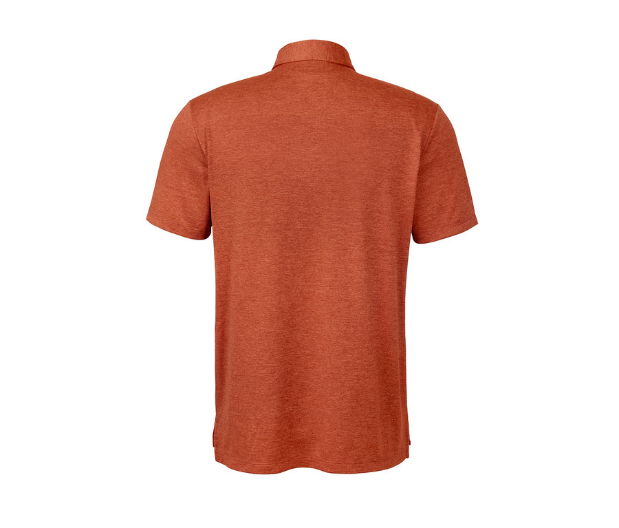 Rückansicht eines Funktions-Poloshirts.