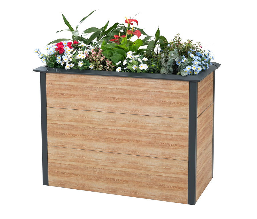Blumenkasten mit verschiedenfarbigen Blumen.
