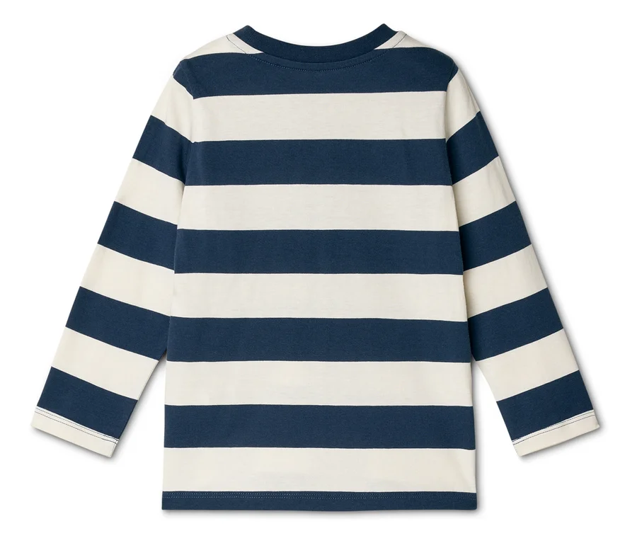 Rückansicht eines langärmeligen, geringelten Shirts in Dunkelblau und Weiß.