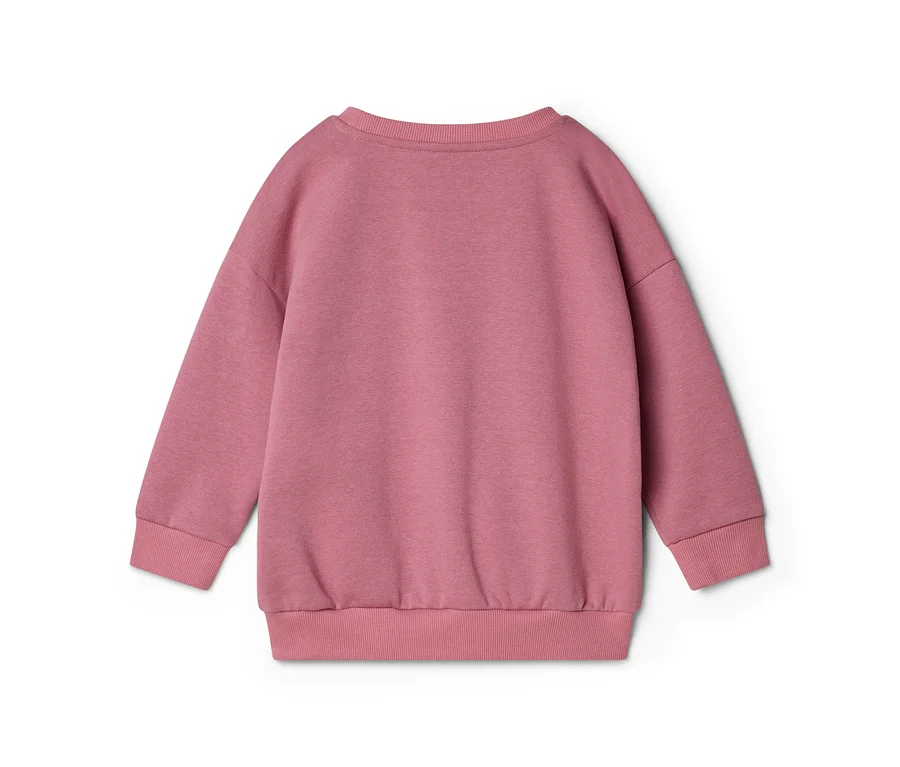 Rückansicht eines einfarbigen, rosafarbenen Sweatshirts mit langen Ärmeln, gerippten Bündchen und Saum.