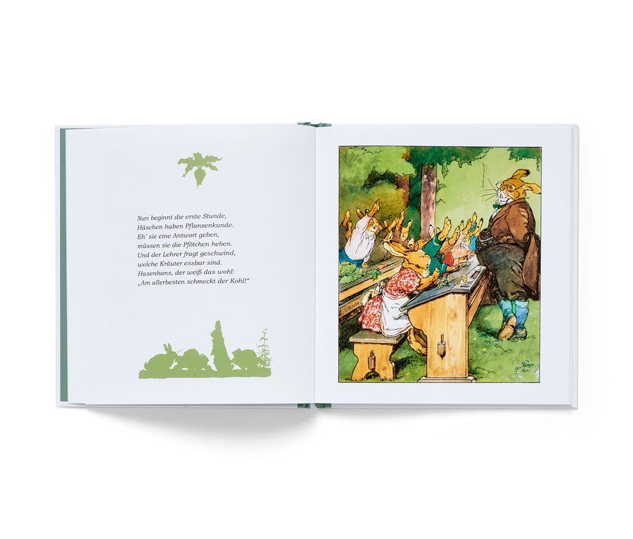 Aufgeschlagenes Buch mit Illustration einer Tierklasse, in der ein Hase vor Bänken voller kleiner Hasen steht. "Die Häschenschule" Buch.