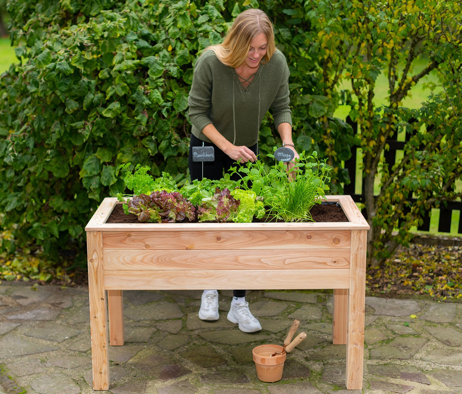 Frau arbeitet an einem Stelzenhochbeet, auf dem Salat und Kräuter wachsen.