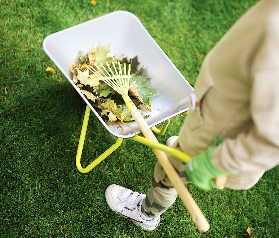 Junge schiebt small foot Schubkarre mit Gartenwerkzeug voller Blätter auf dem Rasen.