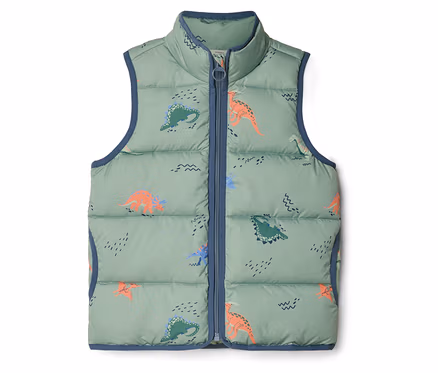 Ärmellose, hellgrüne Steppweste mit blauem Reißverschluss und Dinosaurier-Muster.