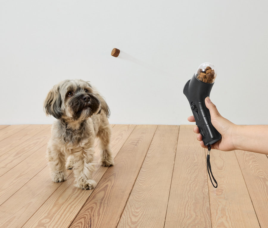 Auf einem Holzboden steht ein Hund und schaut einem Leckerli nach, das aus einem schwarzen Spielzeug in einer Hand in der Luft fliegt.