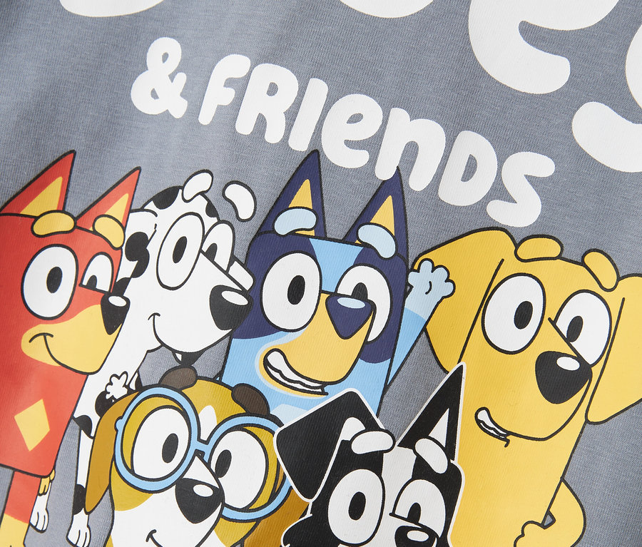Aufdruck auf einem grauen Stoff mit Bluey & Friends Cartoons.