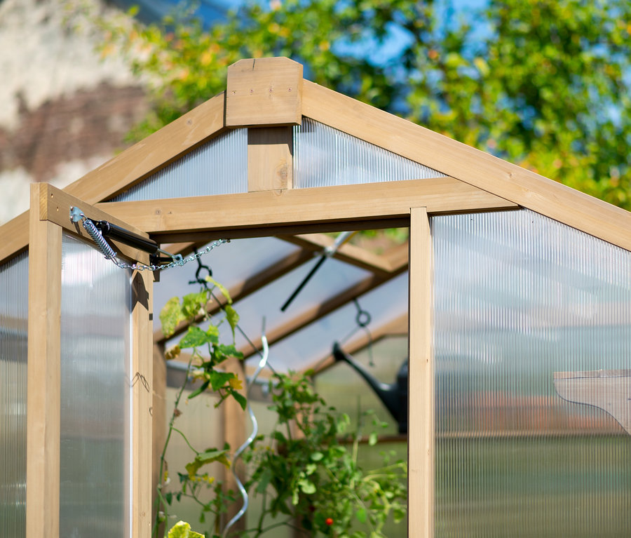 Detailansicht eines Zedernholz-Gewächshauses mit Pflanzen und einer Gießkanne im Inneren.