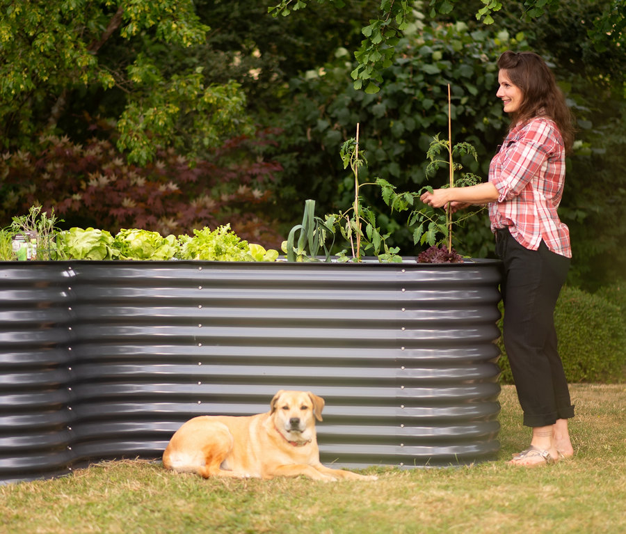 Frau pflegt Pflanzen im L-förmigen Hochbeet, daneben liegt ein Hund.