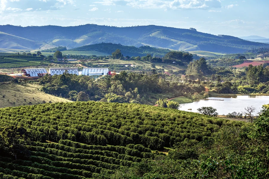 Hügelige Landschaft mit grünen Kaffeeplantagen, weißen Farmgebäuden und einem See im Mittelgrund, sowie Bergen unter blauem Himmel.