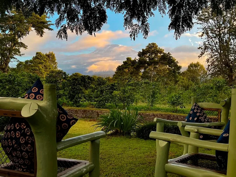 Zwei grüne Holzstühle mit gemusterten Kissen blicken auf einen üppigen Garten und eine Kaffeeplantage, im Hintergrund ein schneebedeckter Berg unter farbigem Himmel.