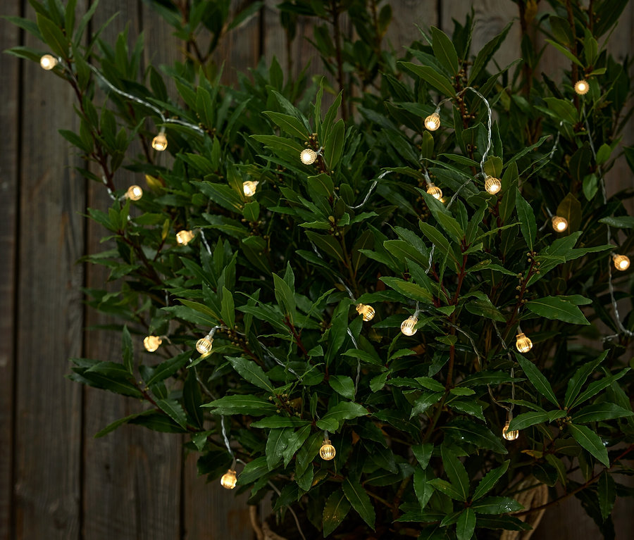 Solar-Lichterkette mit Kugeln um eine Pflanze im braunen Topf gewickelt.
