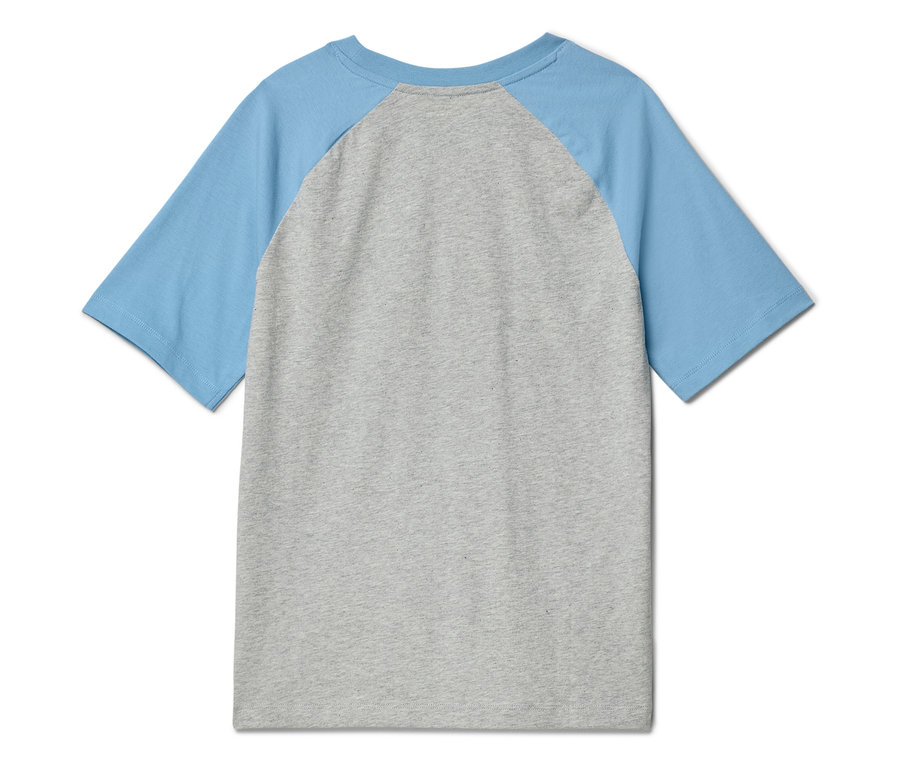 Rückansicht eines grau melierten T-Shirts mit hellblauen Raglanärmeln.