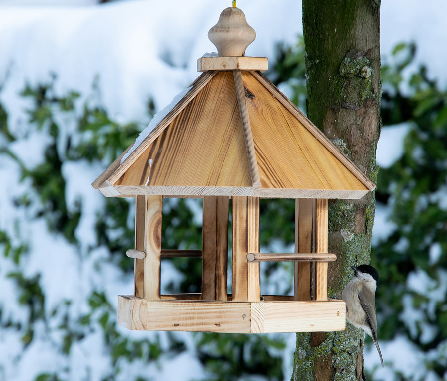Eine Tannenmeise sitzt an einem »Caliente« Vogelfutterhaus aus Holz.