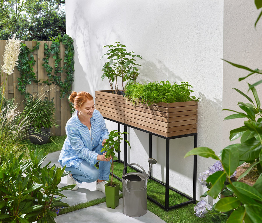 Frau hockt im Garten und pflanzt Setzling neben einem Hochbeet mit Kräutern, einer Gießkanne und einem Topf.